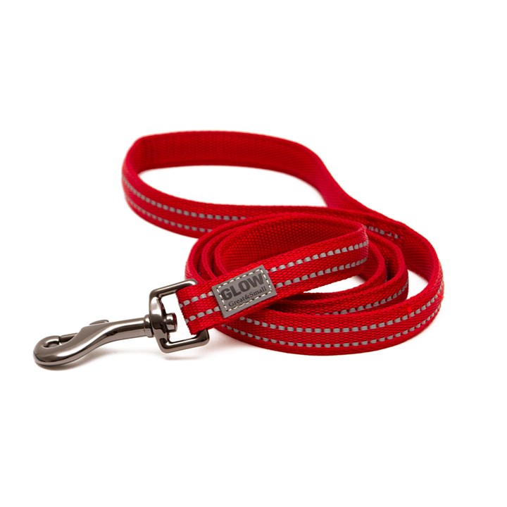 Great & Small Glow Dog Lead Red