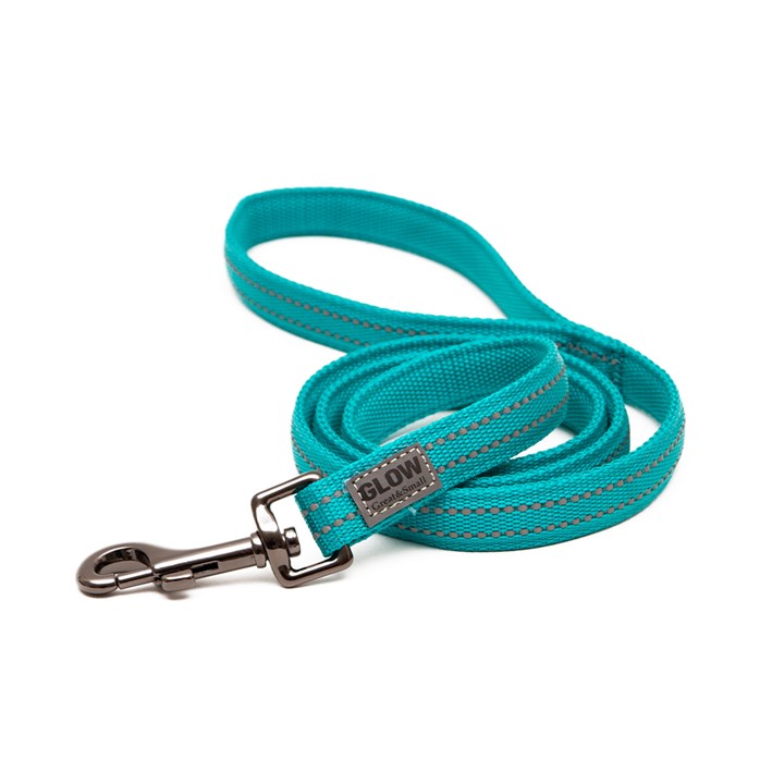 Great & Small Glow Dog Lead Turquoise