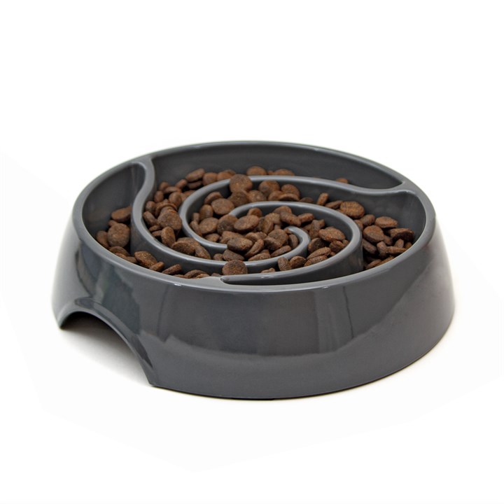 Great & Small Grey Slow Down Swirl Pet Bowl