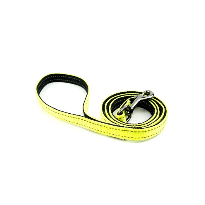 Hi vis dog lead best sale