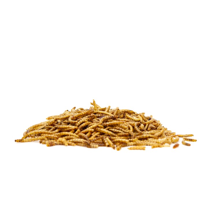 Great & Small Mealworms Bird Food