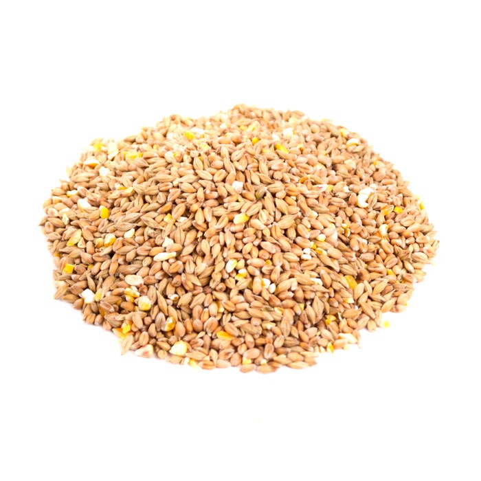 Great & Small Mixed Corn Bird Feed