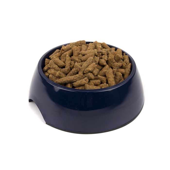 Great & Small Navy Melamine Pet Dish