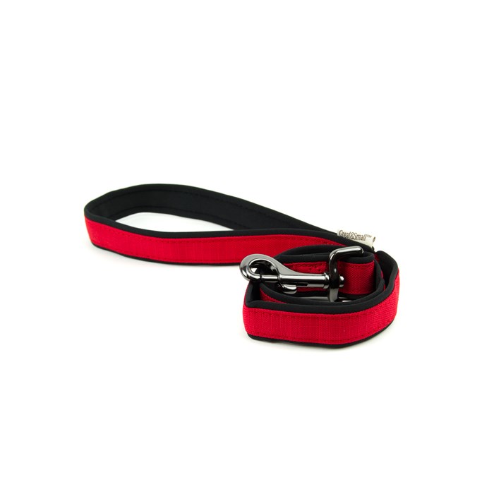 Great & Small Active Neoprene Dog Lead Red