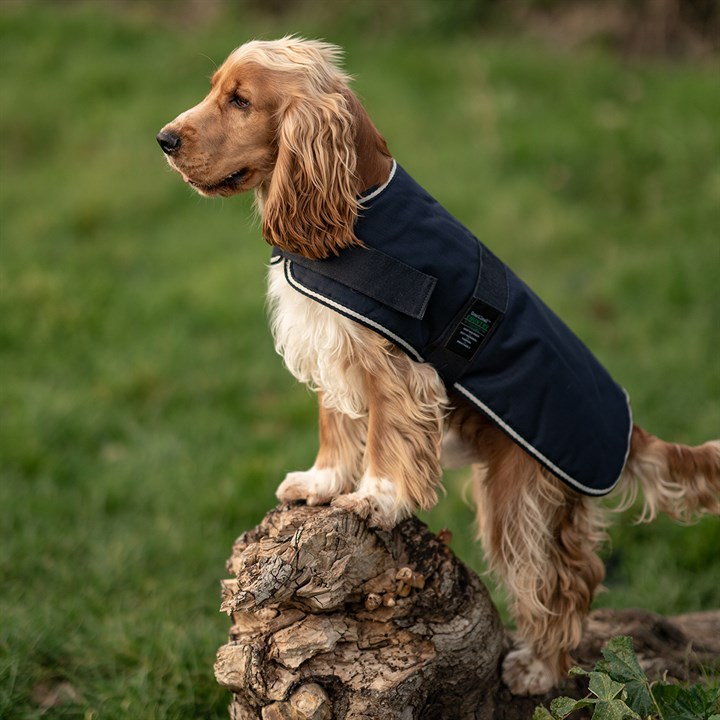 Great & Small Country Padded Blue Dog Coat