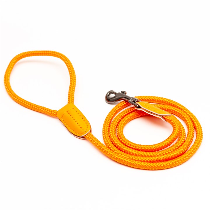 Great & Small Penrose Rope Dog Lead Orange