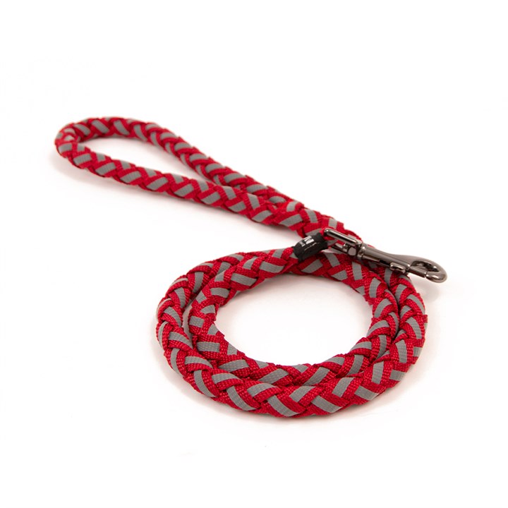 Great & Small Glow Dog Lead Plait Red