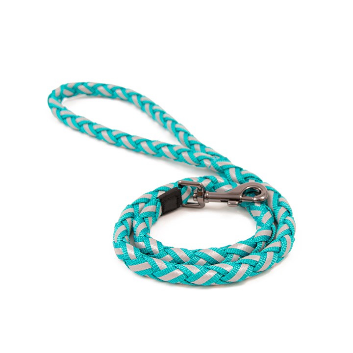 Great & Small Glow Dog Lead Plait Turquoise