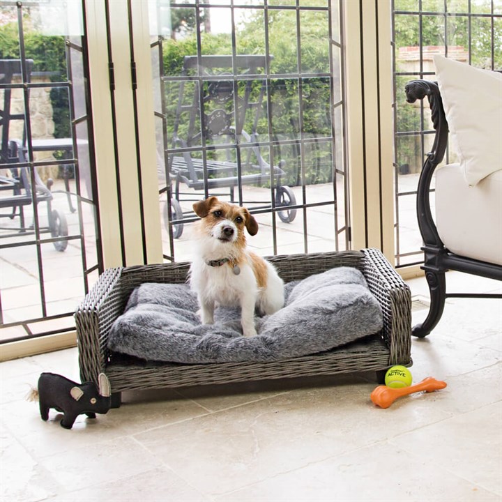 Great & Small Grey Wicker Raised Pet Bed