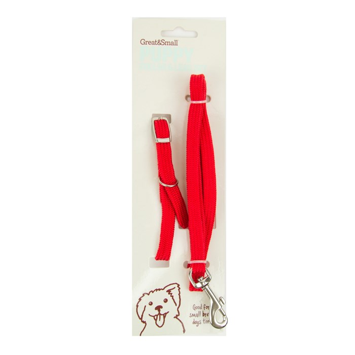 Great & Small Little&Lively Puppy Collar & Lead Red