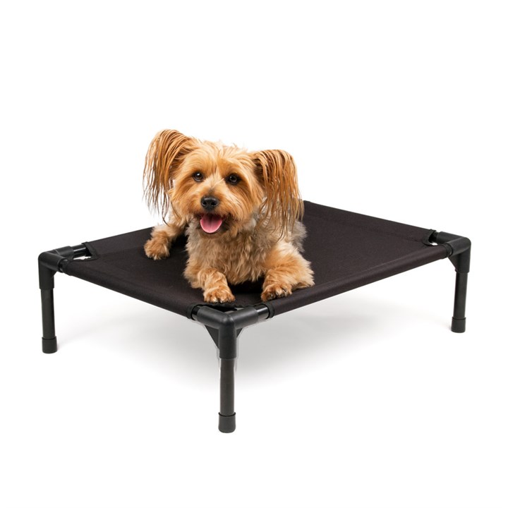 Great & Small Raised Dog Bed