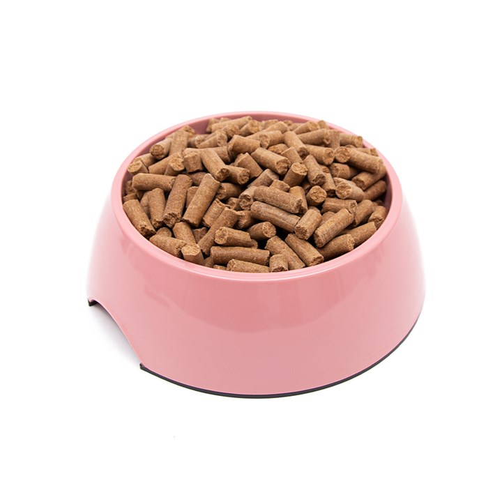 Great & Small Rose Pink Melamine Pet Bowl