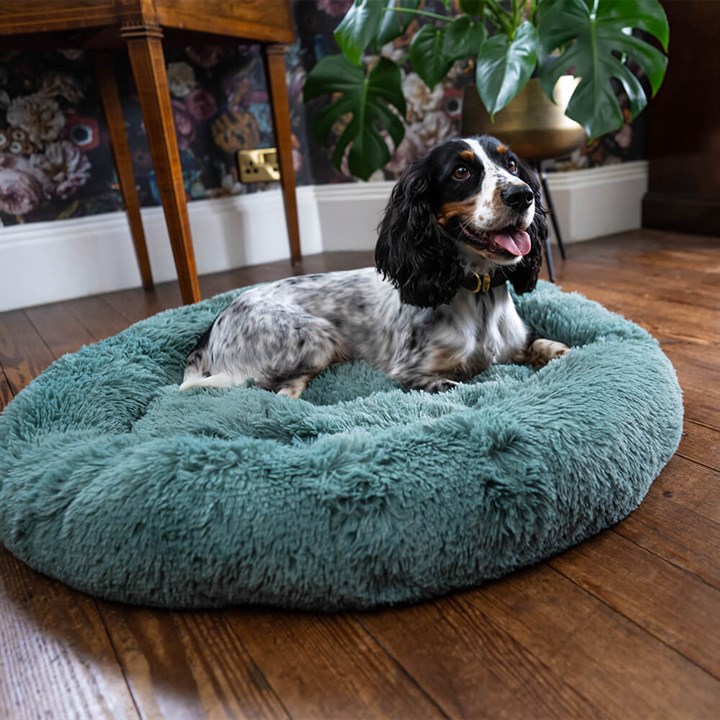 Great & Small Snuggle&Snooze Calming Dog Bed