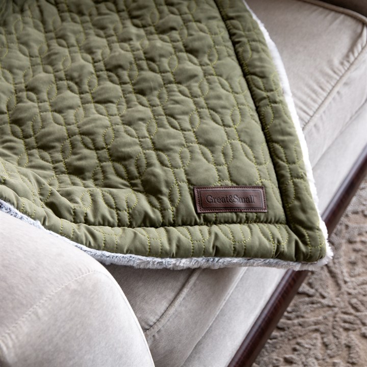 Great & Small Paws & Snores Green Eco Pet Blanket Bed