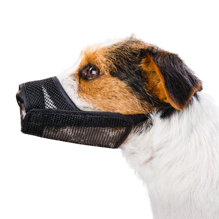 Great & Small Soft Mesh Dog Muzzle