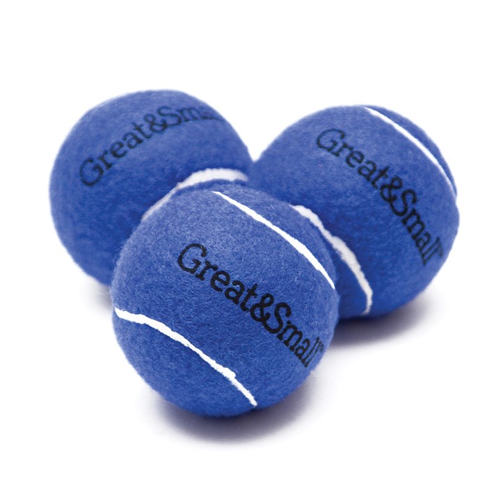 Great & Small Squeaky Blue Tennis Ball Dog Toy