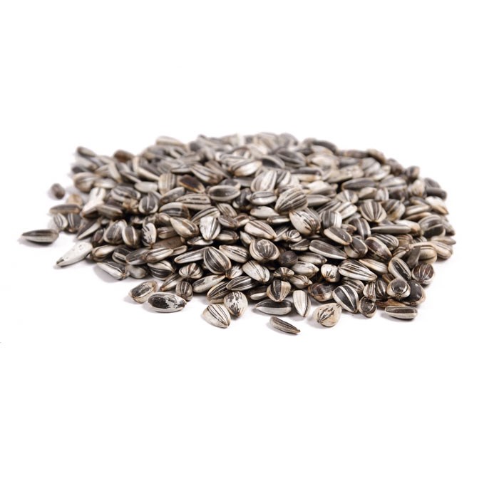 Great & Small Striped Sunflower Seeds