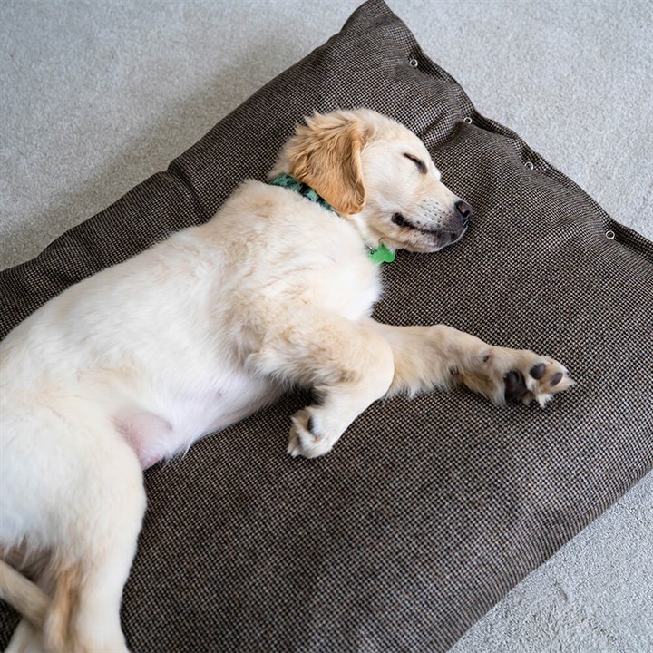 Great Small Brown Tweed Deep Duvet Pet Bed