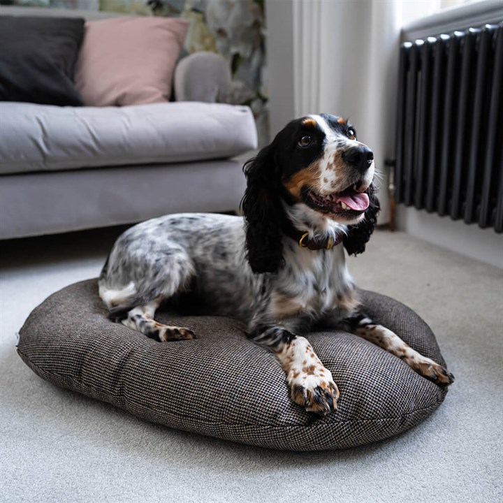 Great & Small Tweed Mattress Dog Bed