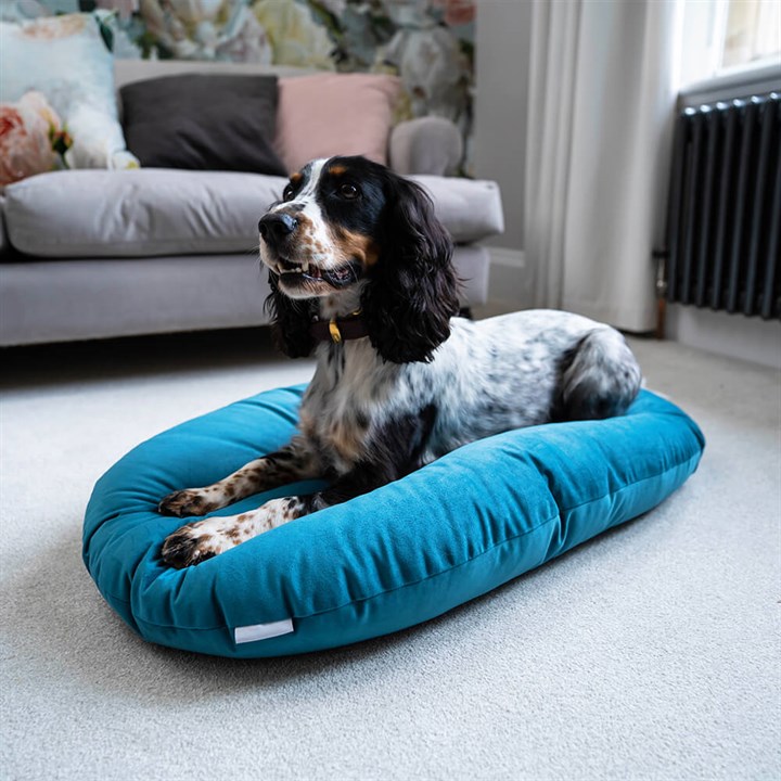 Great & Small Velvet Teal Mattress Pet Bed