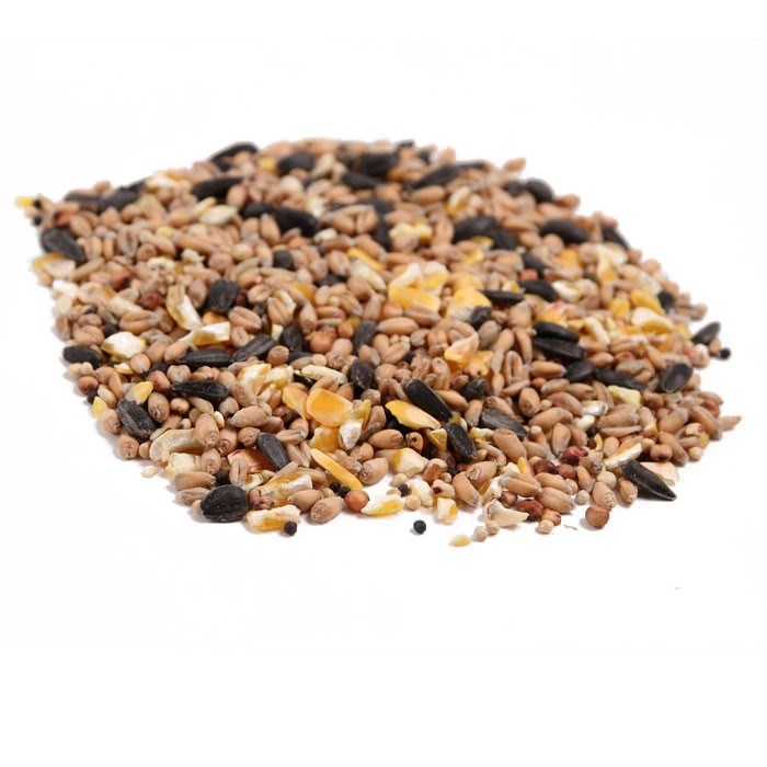 Great & Small Wild Bird Food