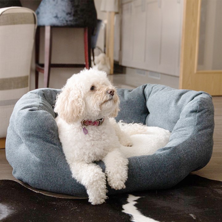 Great & Small Fibre Slumber Dog Bed Navy