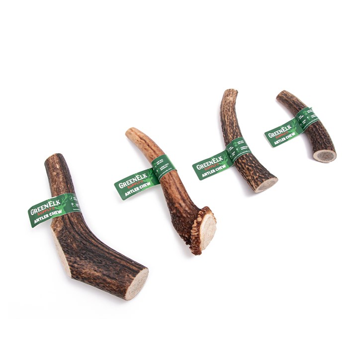 Green Elk Antler Full Dog Chew | Pets Corner