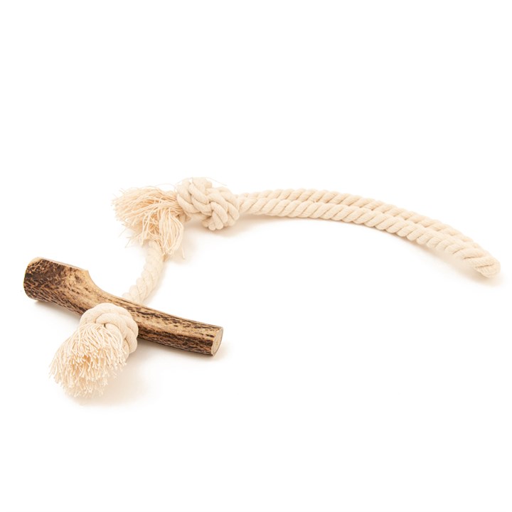 Green Elk Antler & Loop Rope Dog Toy