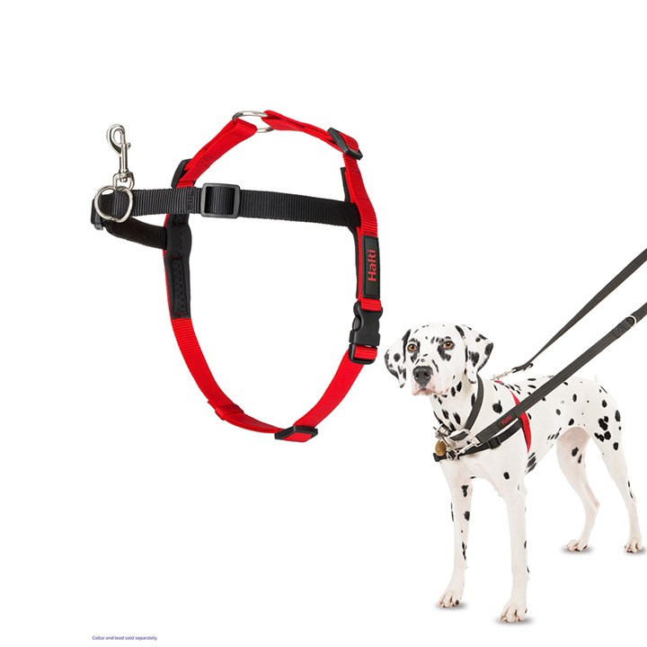 Halti Front Control Dog Harness