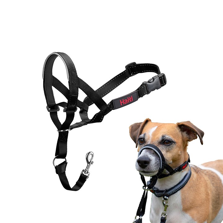 Halti Dog Headcollar