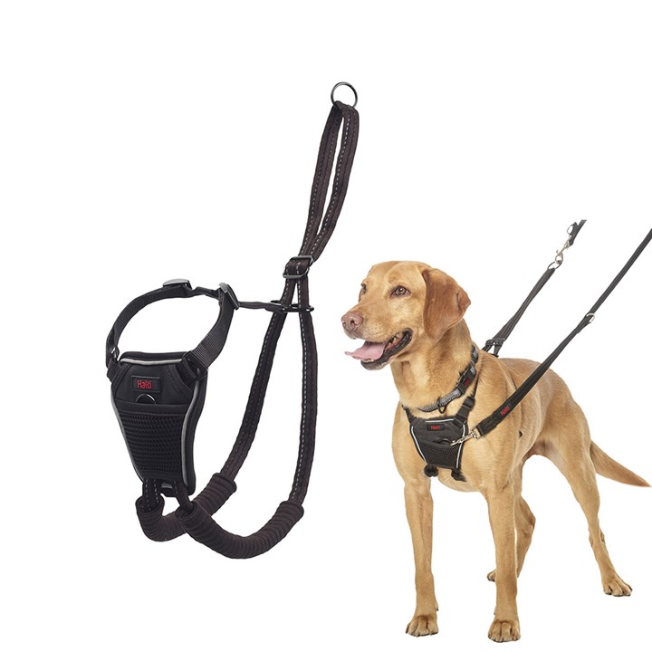 Halti No Pull Dog Harness