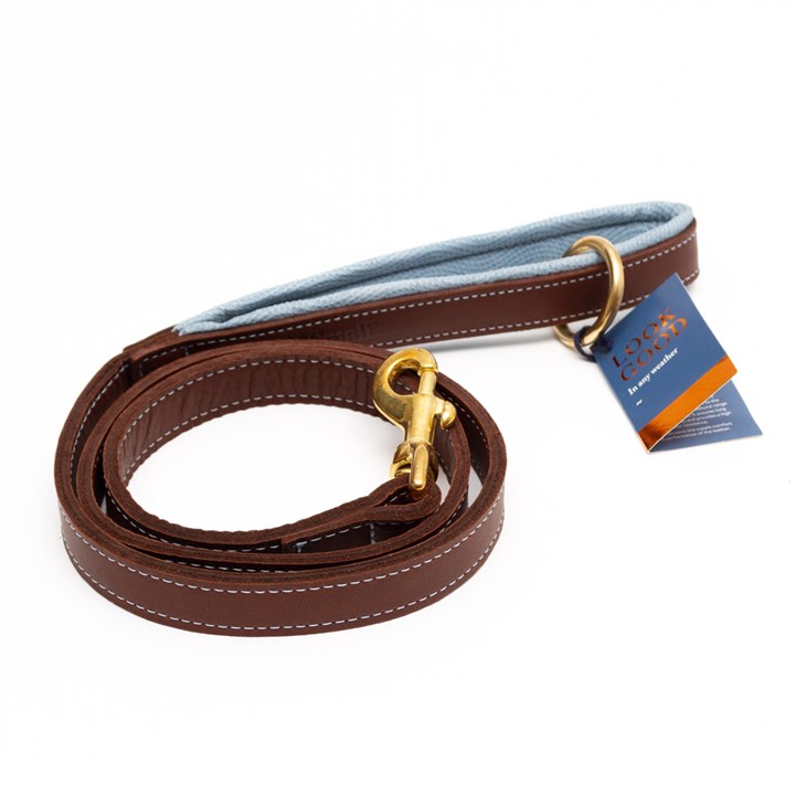 Great & Small Hawkhurst Leather Dog Lead Padded Blue