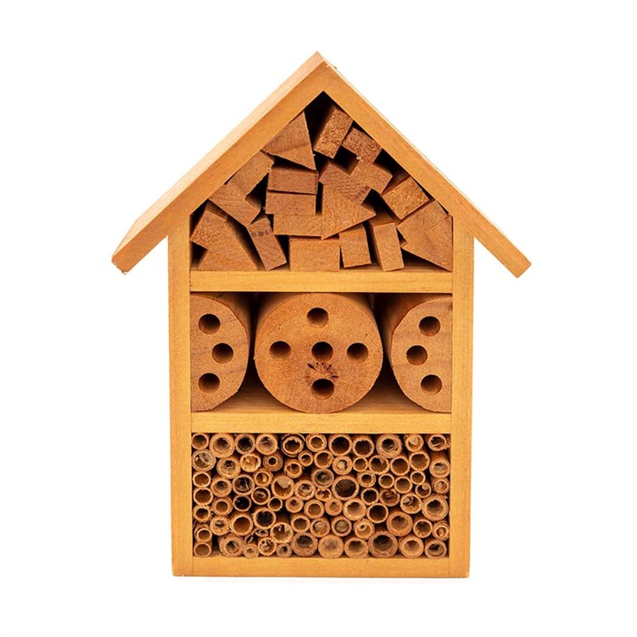 Henry Bell Insect House