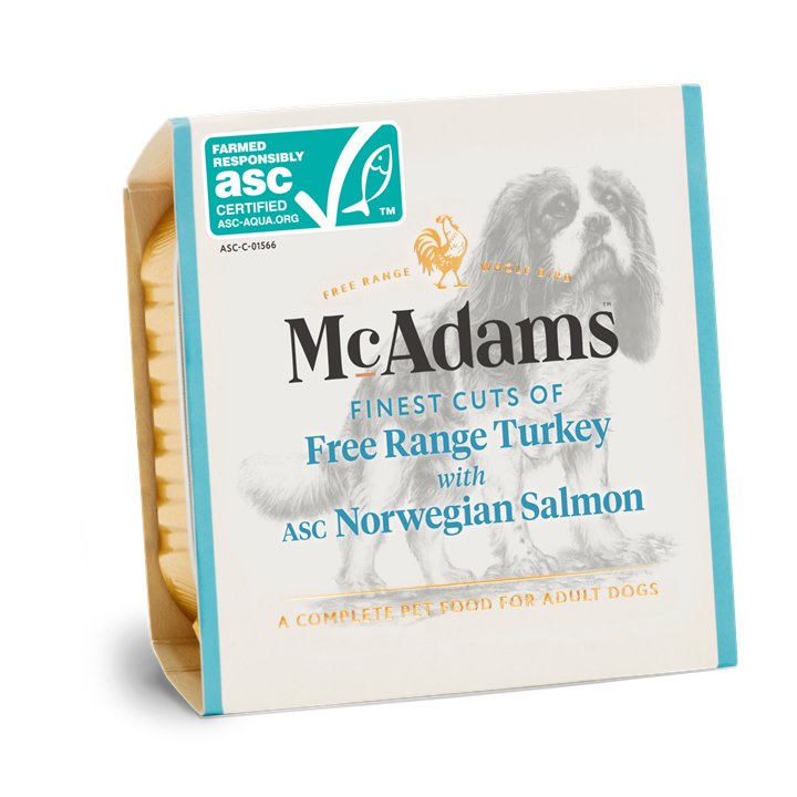 McAdams Turkey with Salmon Wet Dog Food 150g