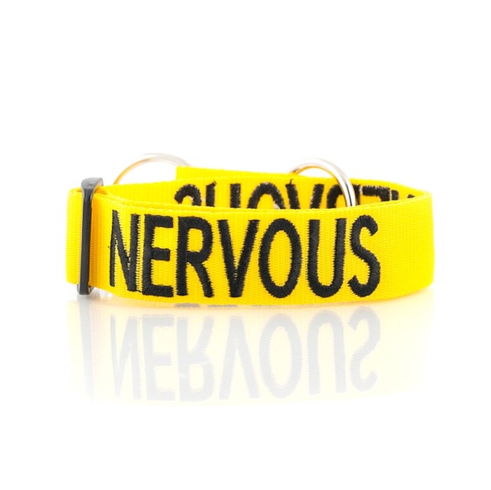 Dexil NERVOUS Awareness Dog Collar