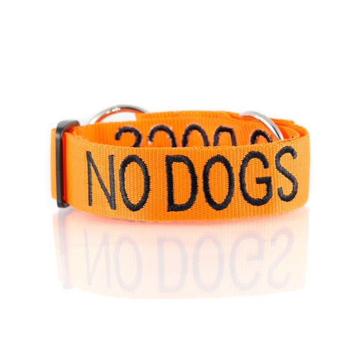 Dexil NO DOGS Awareness Dog Collar