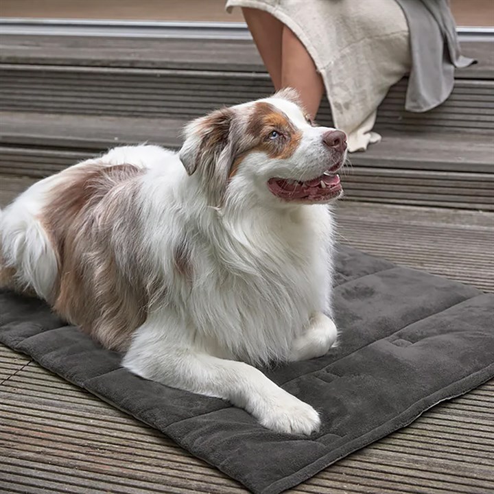 Palopa Alma Anthracite Dog Mat