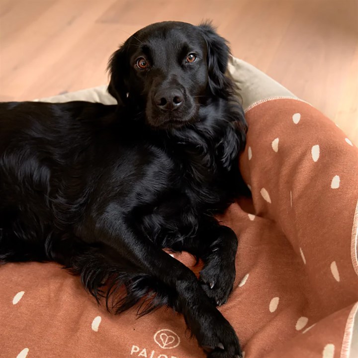 Palopa Ida Drops Cinnamon Dog Blanket