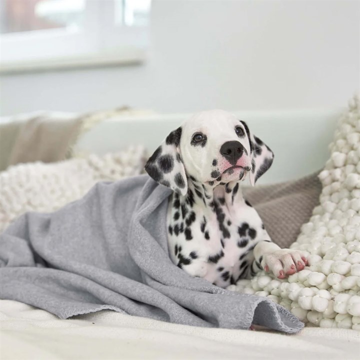 Palopa Mathilda Stone Dog Blanket