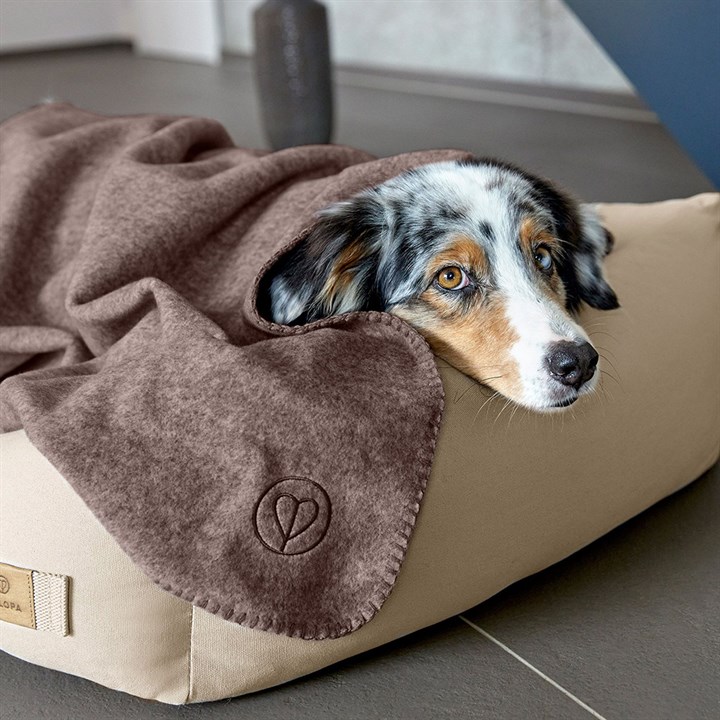 Palopa Mathilda Walnut Dog Blanket