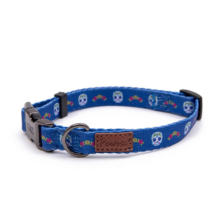 Great & Small Penrose Day of the Dead Blue Dog Collar