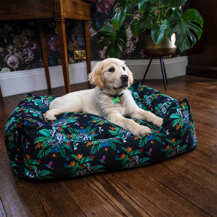 Great & Small Penrose Jungle Print Slumber Dog Bed