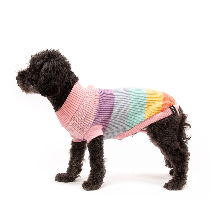 Great & Small Penrose Knitted Sweater Pastel Rainbow Dog Coat