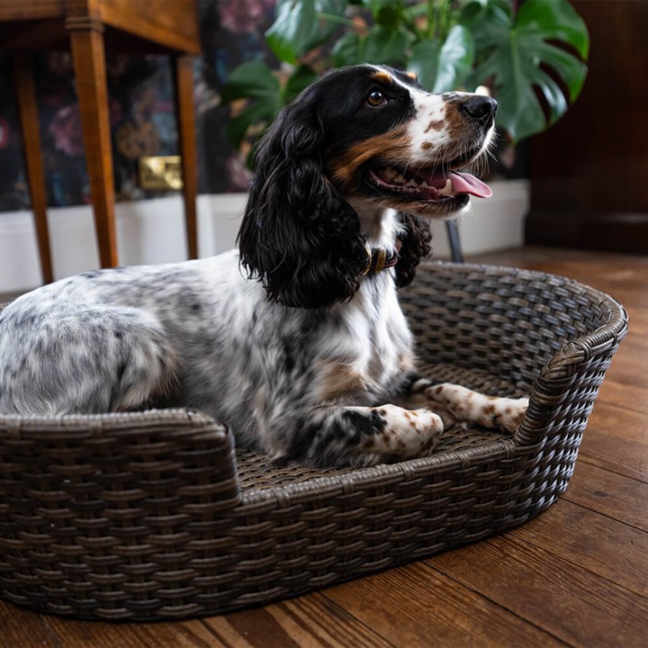 Great & Small Penrose Rattan Resin Wicker Pet Bed