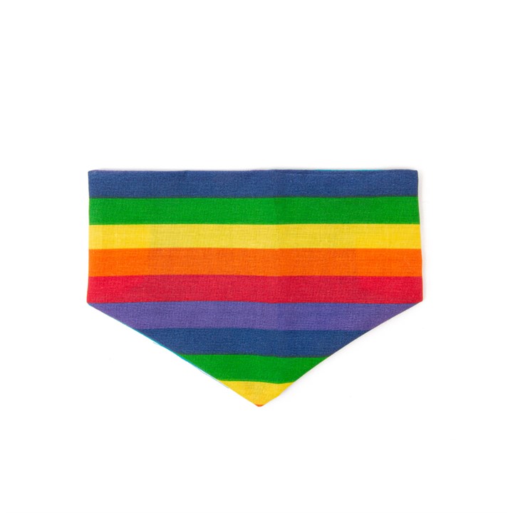 Portabello Pup Rainbow Cat Bandana