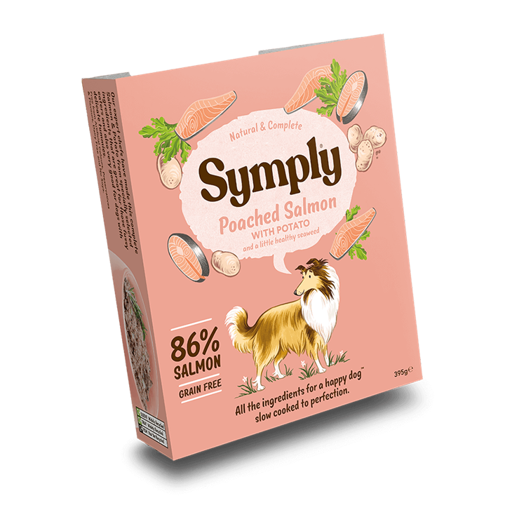 Symply Poached Salmon Grain Free Adult Wet Dog Food 395g