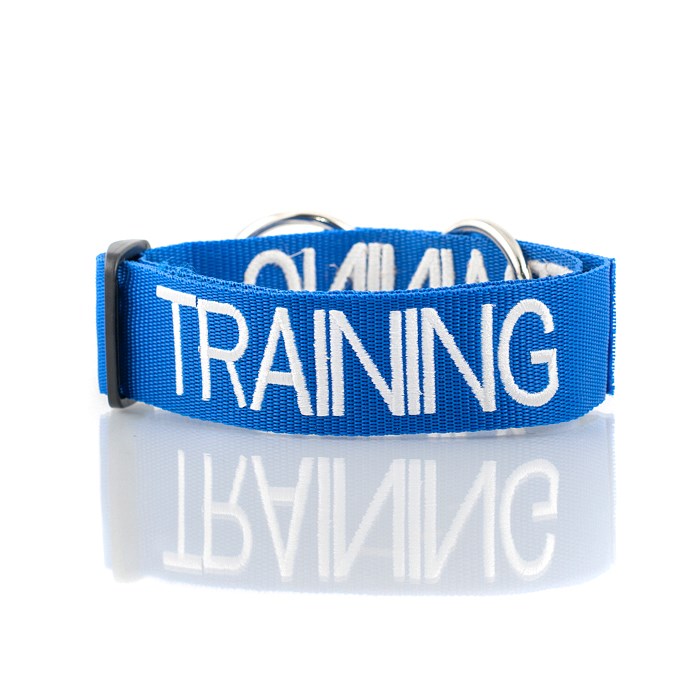 Dexil TRAINING Awareness Dog Collar