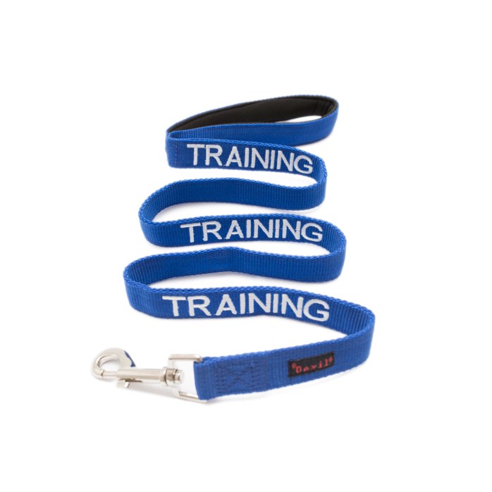 Dexil TRAINING Awareness Dog Lead 120cm